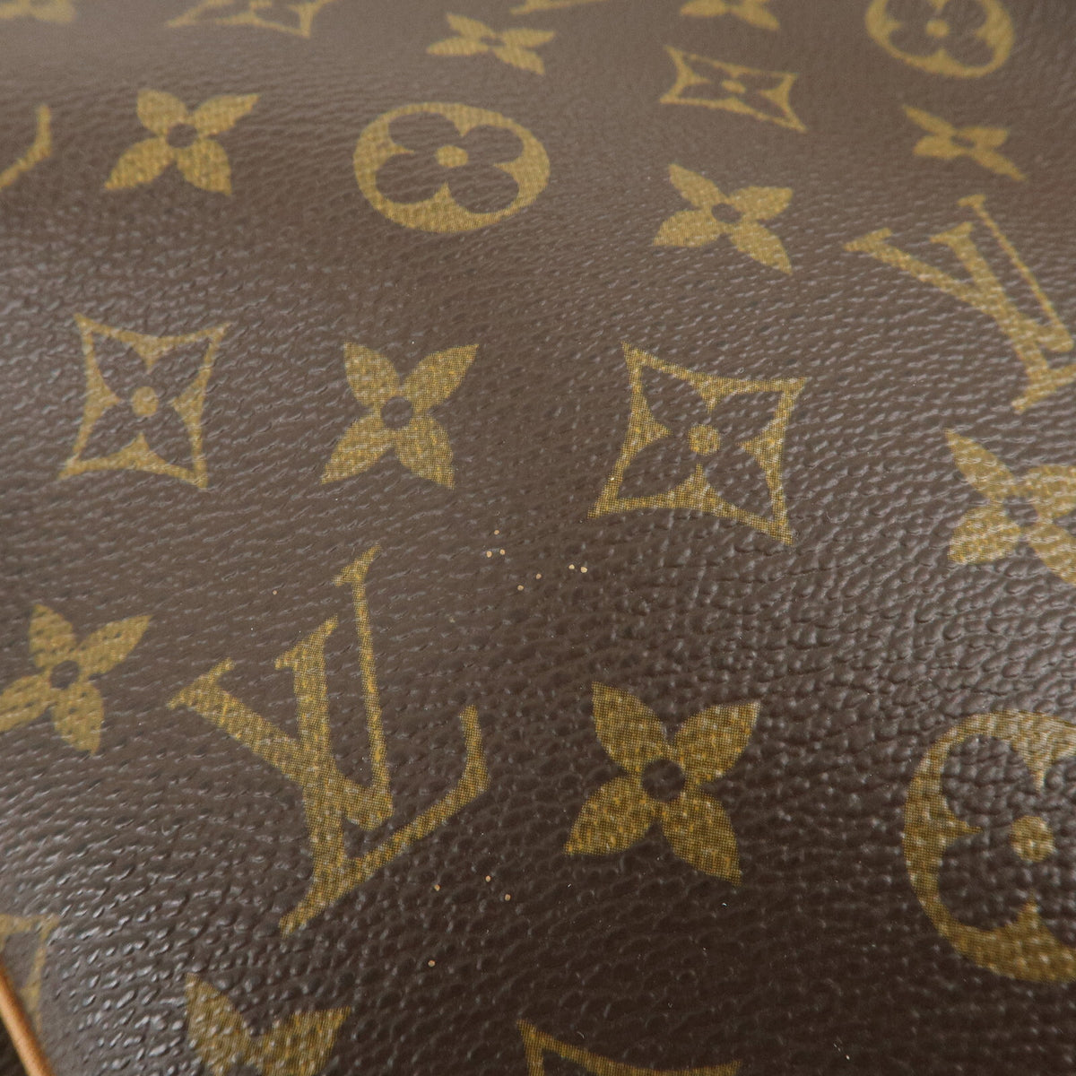 LOUIS VUITTON Excursion Monogram Shoes Case Womens Handbag M41450 Preowned Auth16