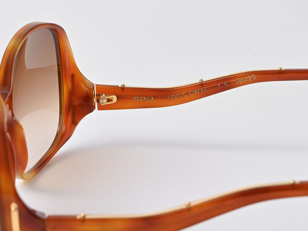 Auth LOUIS VUITTON GINA Sunglasses Square Brown Z0053WN Plastic Gina Tortoise9